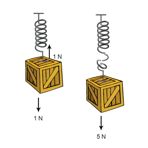 Spring diagram with a wooden weight 1 N and a wooden weight 5 N